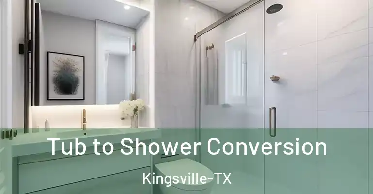 inner Bathroom imggen Tub to Shower Conversion Kingsville-TX