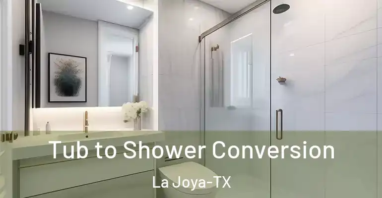 inner Bathroom imggen Tub to Shower Conversion La Joya-TX