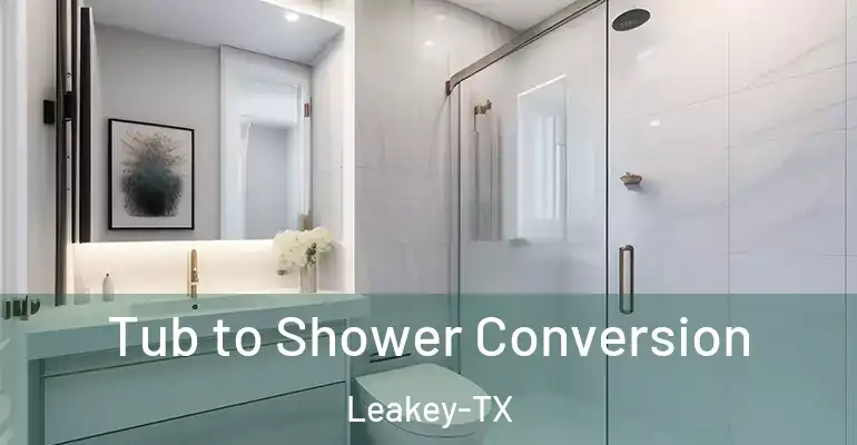 inner Bathroom imggen Tub to Shower Conversion Leakey-TX
