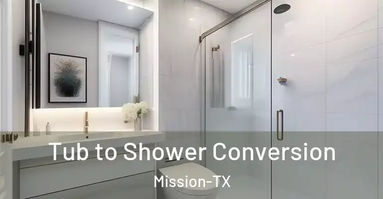 inner Bathroom imggen Tub to Shower Conversion Mission-TX
