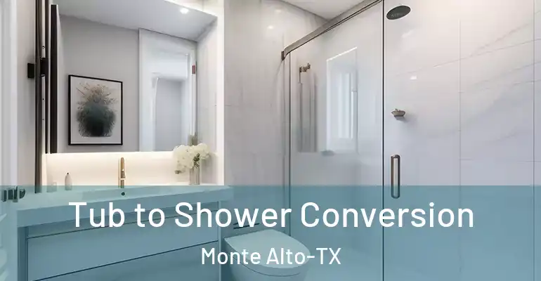 inner Bathroom imggen Tub to Shower Conversion Monte Alto-TX
