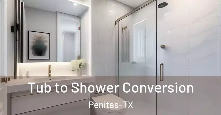 inner Bathroom imggen Tub to Shower Conversion Penitas-TX