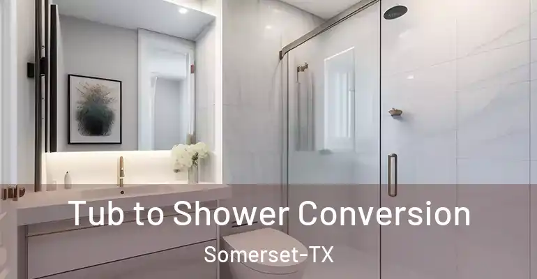 inner Bathroom imggen Tub to Shower Conversion Somerset-TX