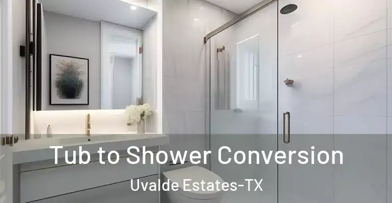 inner Bathroom imggen Tub to Shower Conversion Uvalde Estates-TX
