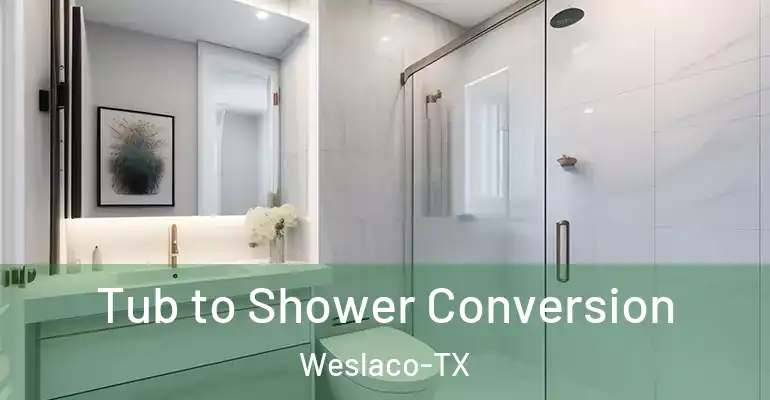 inner Bathroom imggen Tub to Shower Conversion Weslaco-TX