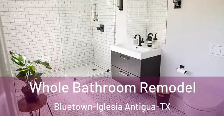 inner Bathroom imggen Whole Bathroom Remodel Bluetown-Iglesia Antigua-TX