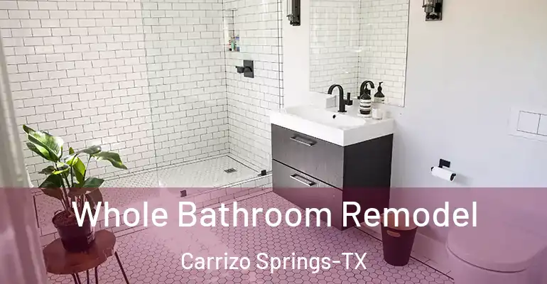 inner Bathroom imggen Whole Bathroom Remodel Carrizo Springs-TX