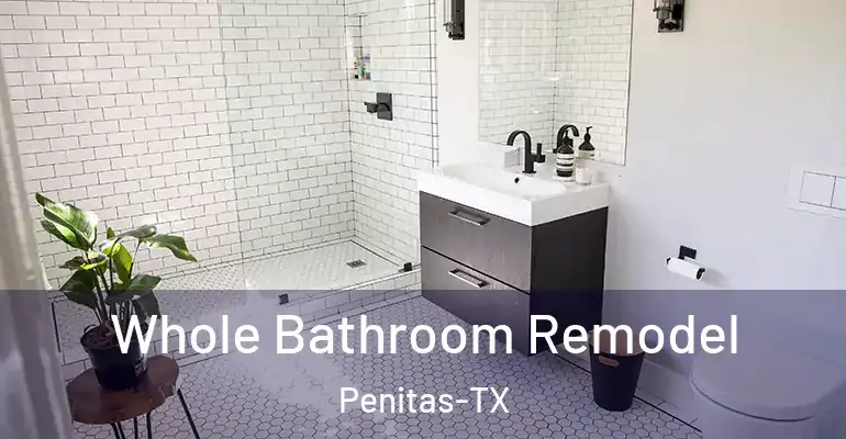 inner Bathroom imggen Whole Bathroom Remodel Penitas-TX