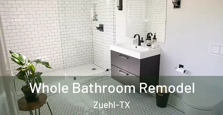 inner Bathroom imggen Whole Bathroom Remodel Zuehl-TX